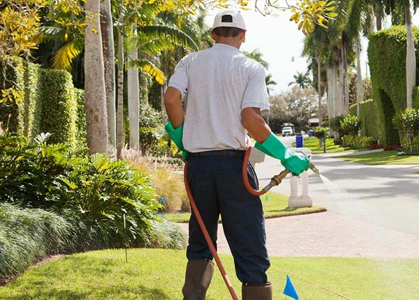About Fleming Island FL Pest Control Pros